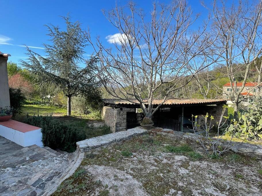 Casa Do Reguengo *